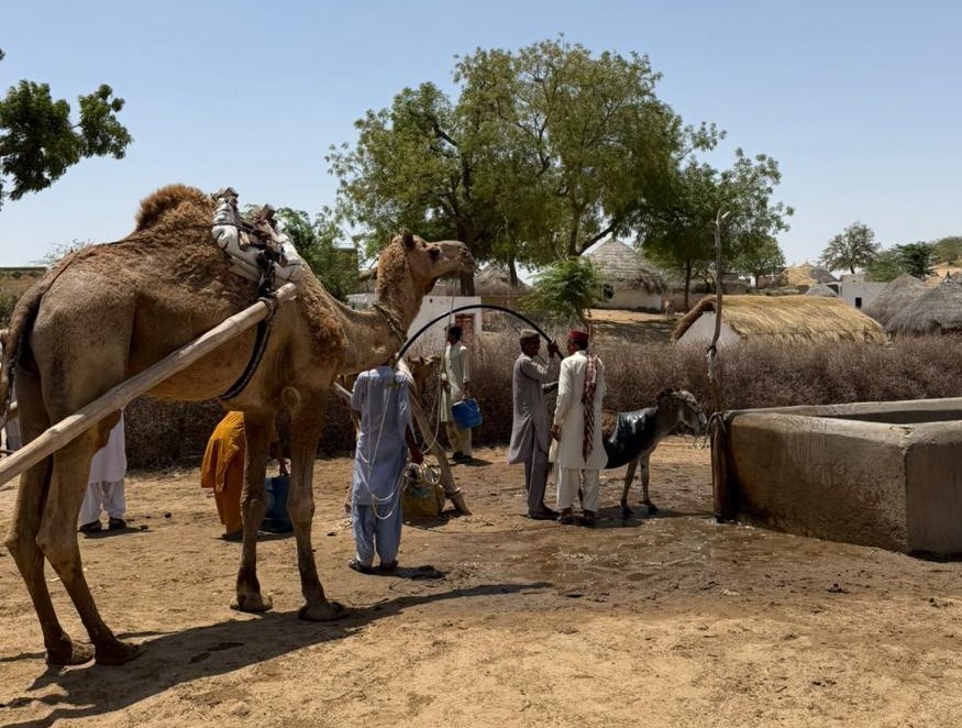Basti Anwer Nohri Water Well
